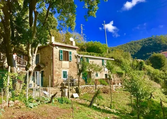 La quiete accesa