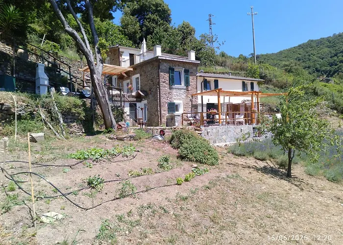 La quiete accesa